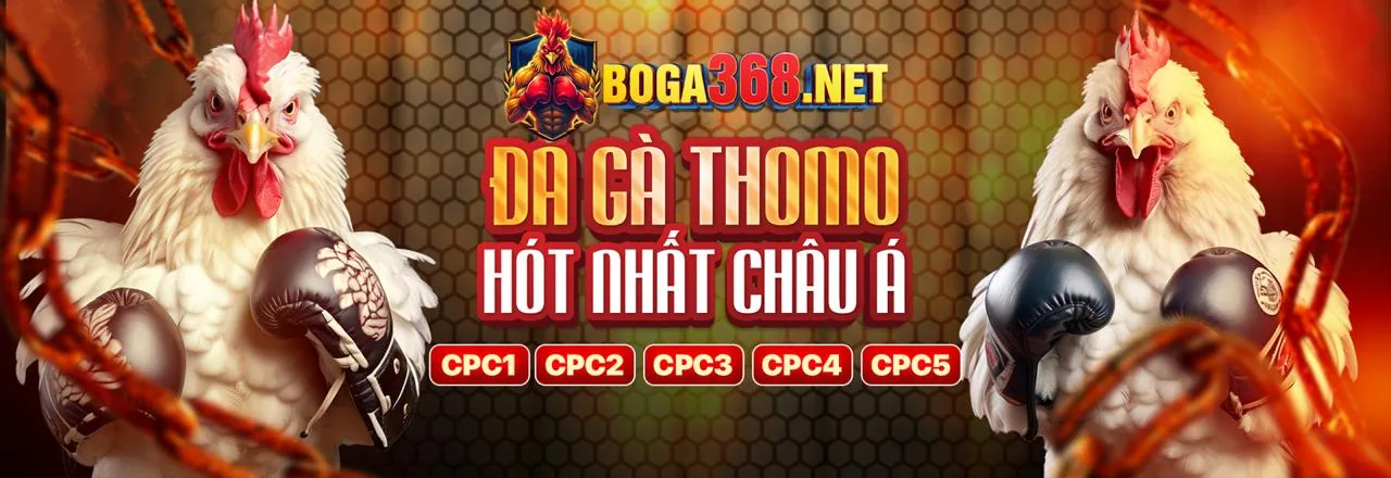 Hướng dẫn xem đá gà Thomo trực tiếp có bình luận viên