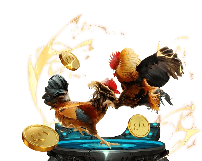 Hoàn trả cược mỗi ngày